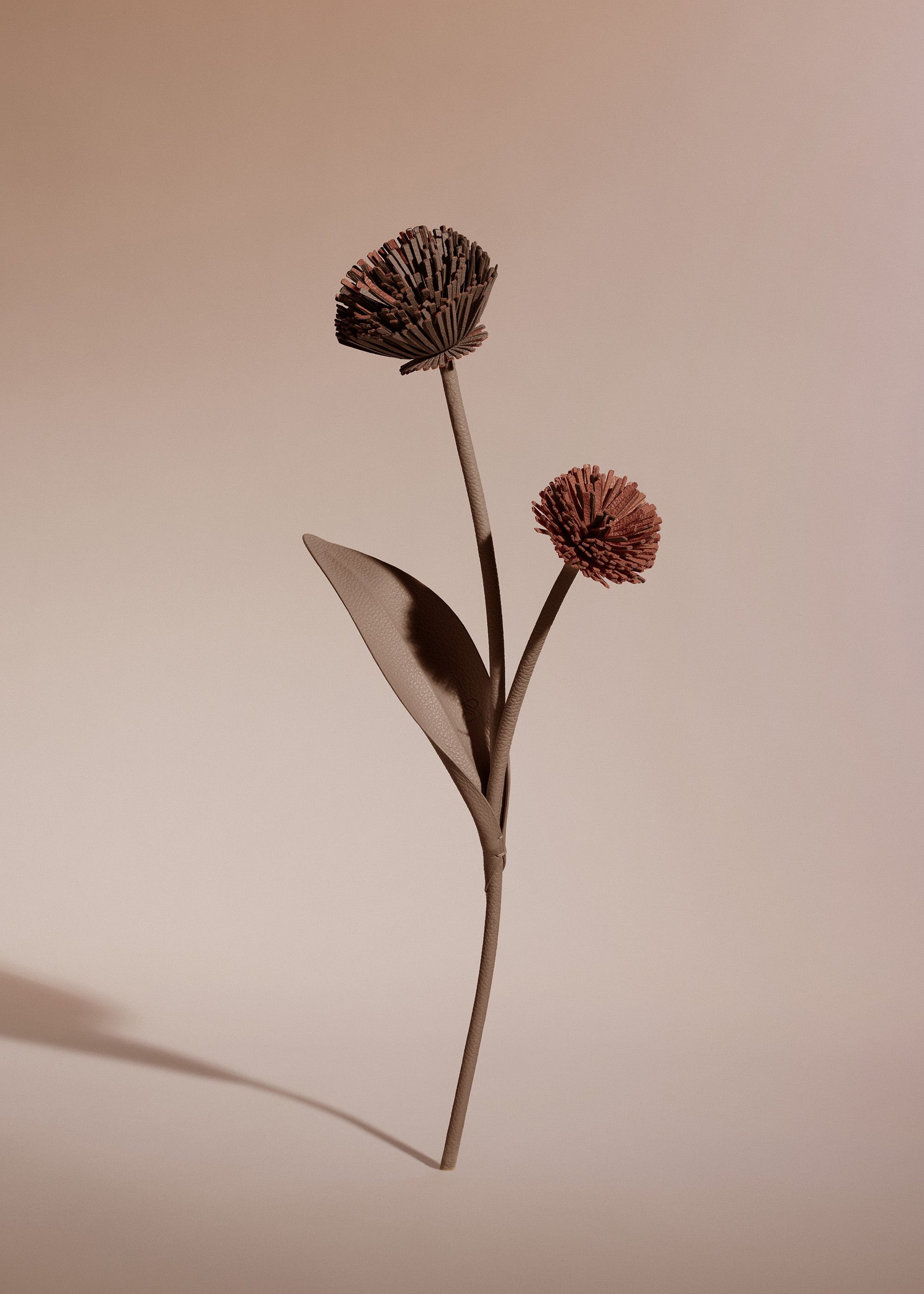 Tul Flower - Root