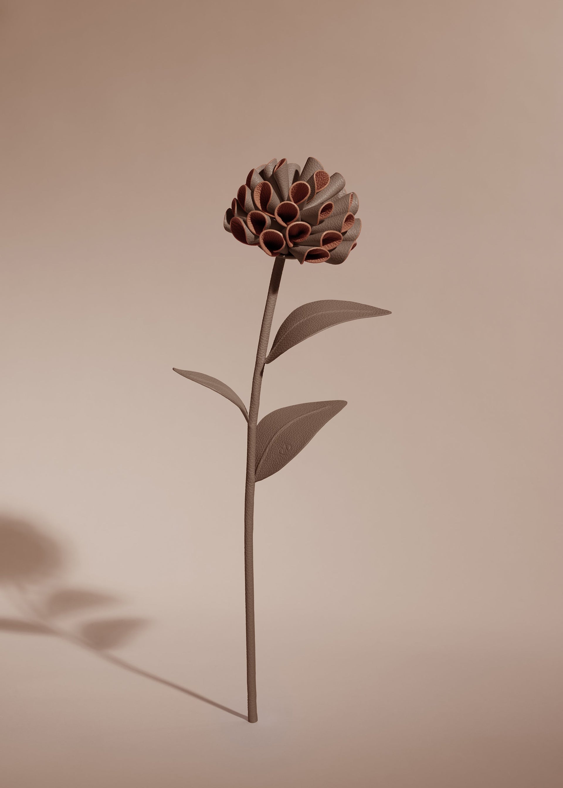 Dalium Flower - Root