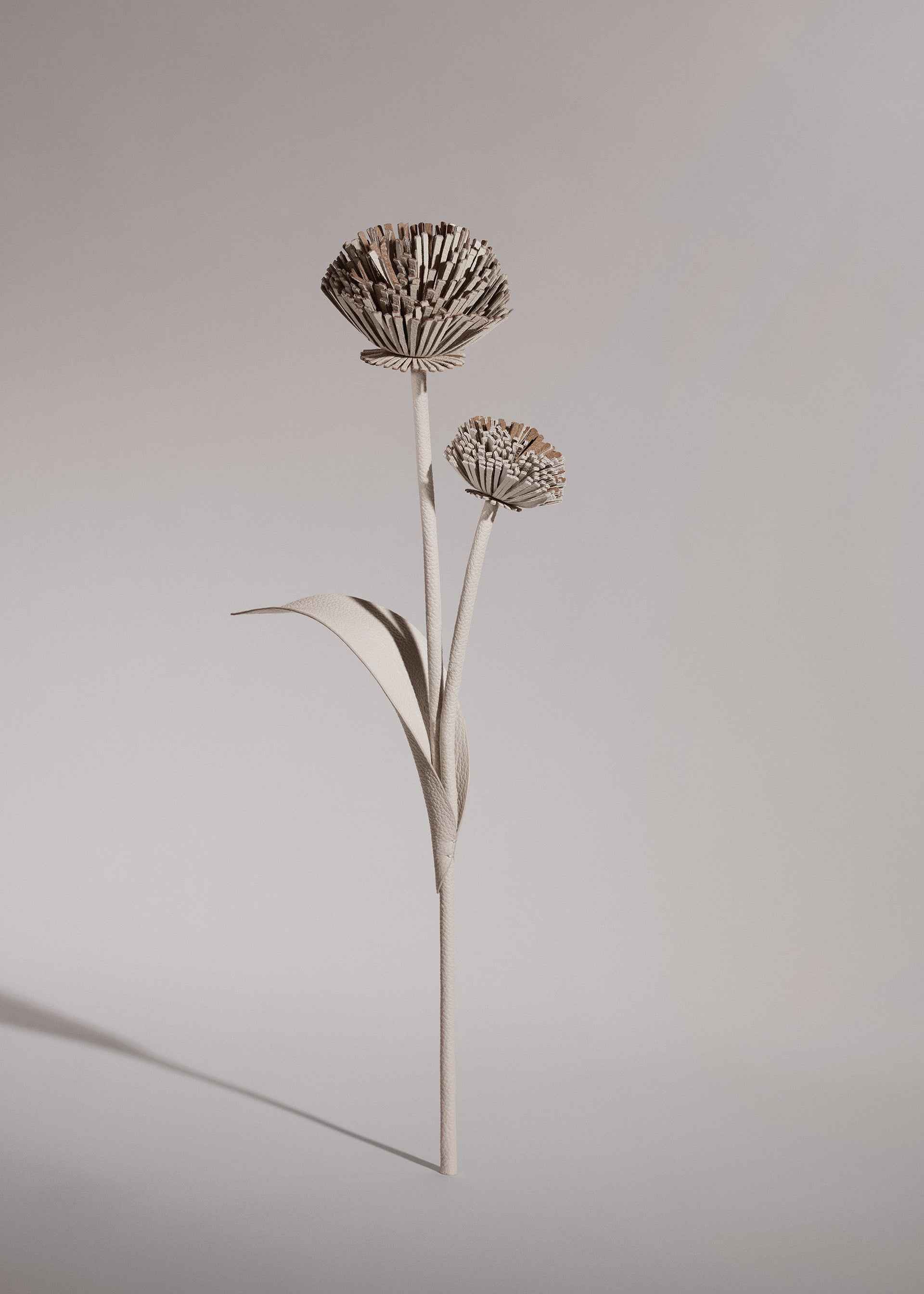 Tul Flower - Chalk