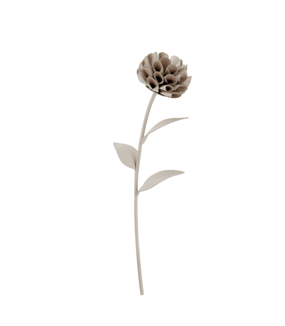 Dalium Flower - Chalk