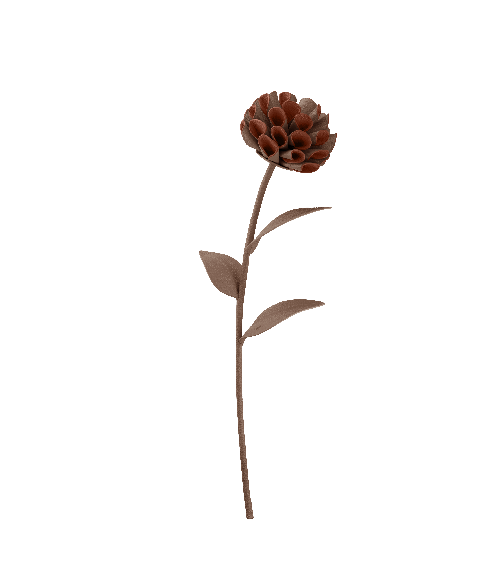 Dalium Flower - Root