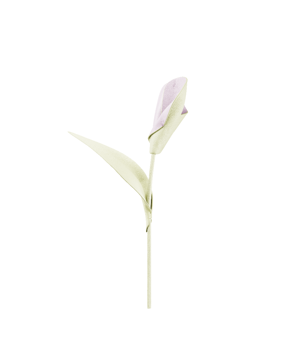 Pili Flower - Aloe