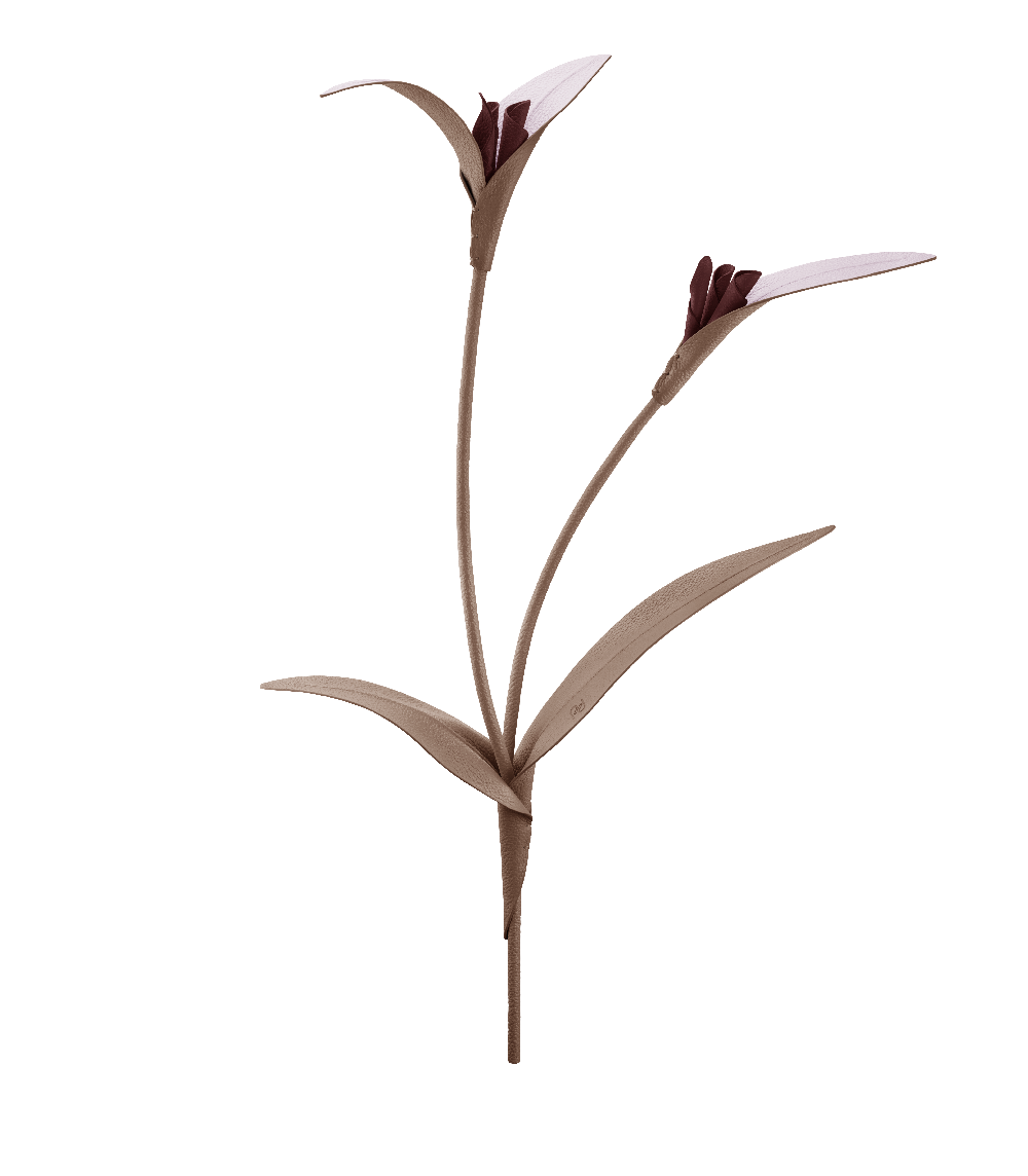Touka Flower - Root